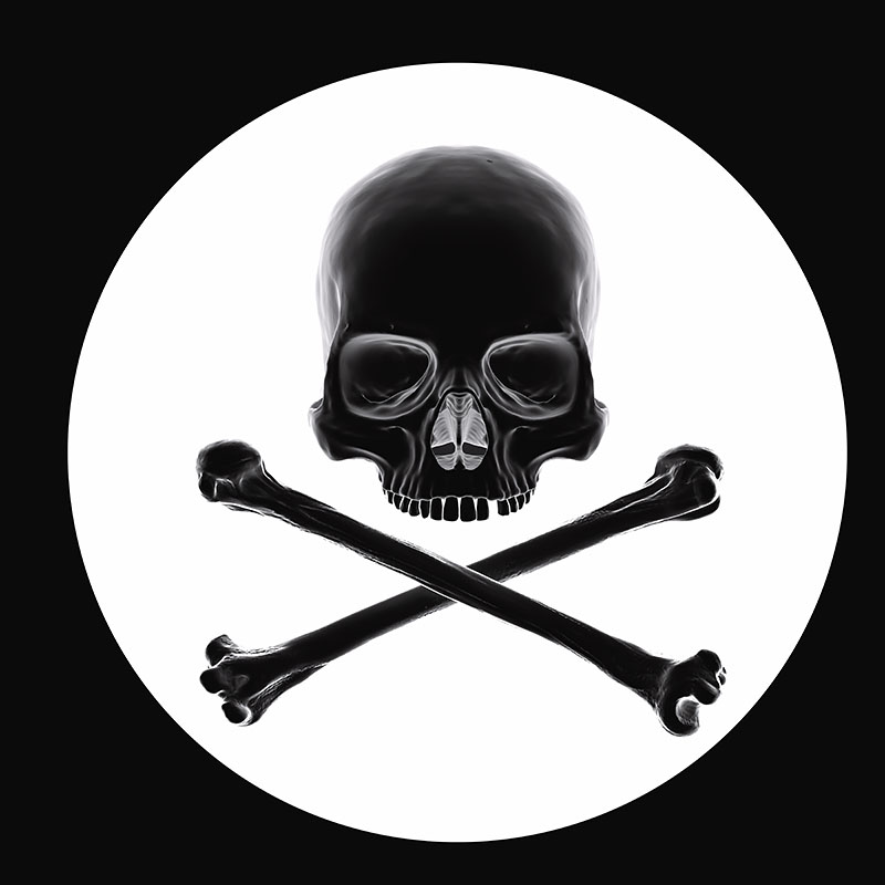 Skull + Crossbones #1